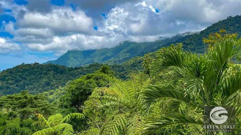 Ocean View Jungle Home: 3-Bed Retreat with Pool & Sunset Views Near Ojochal — view 5, Ojochal, Osa, Costa Rica