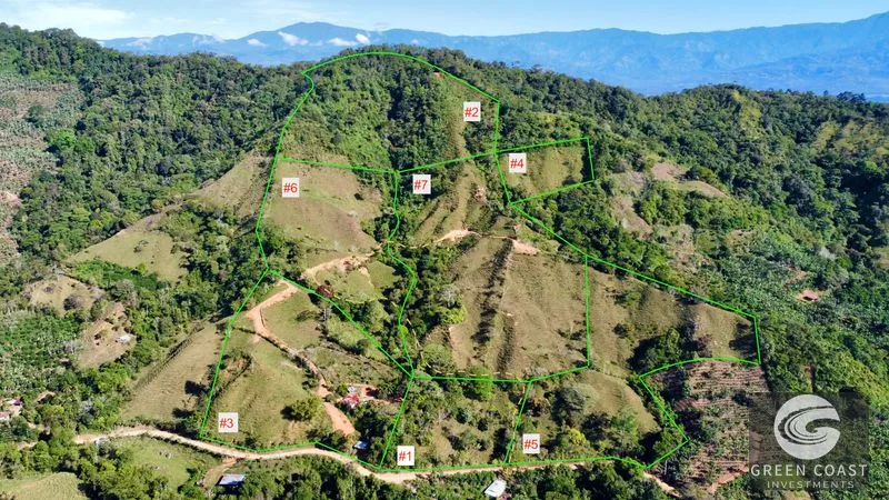 Costa Rica Mountain Ranch: Ocean Views, 49 Acres, Family Compound Potential Near Uvita & San Isidro — view 2, Costa Rica, Costa Rica