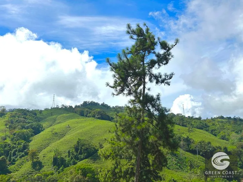 Costa Rica Mountain Ranch: Ocean Views, 49 Acres, Family Compound Potential Near Uvita & San Isidro — view 6, Costa Rica, Costa Rica