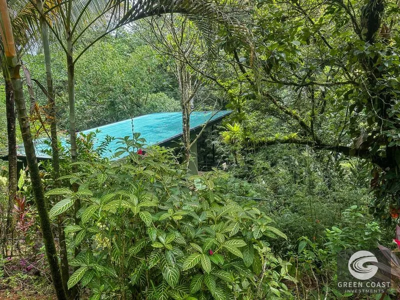 Ojochal Jungle Retreat: Riverfront Home, Pool, & Income Casitas. Owner Financing Available! — view 7, Ojochal, Costa Rica