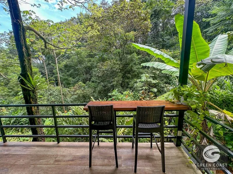 Ojochal Jungle Retreat: Riverfront Home, Pool, & Income Casitas. Owner Financing Available! — view 12, Ojochal, Costa Rica