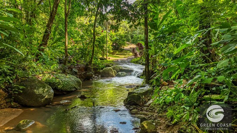 Riverfront Jungle Oasis: Private 3-Bed Retreat with Natural Pool & Fruit Orchard — view 3, Costa Rica, Costa Rica