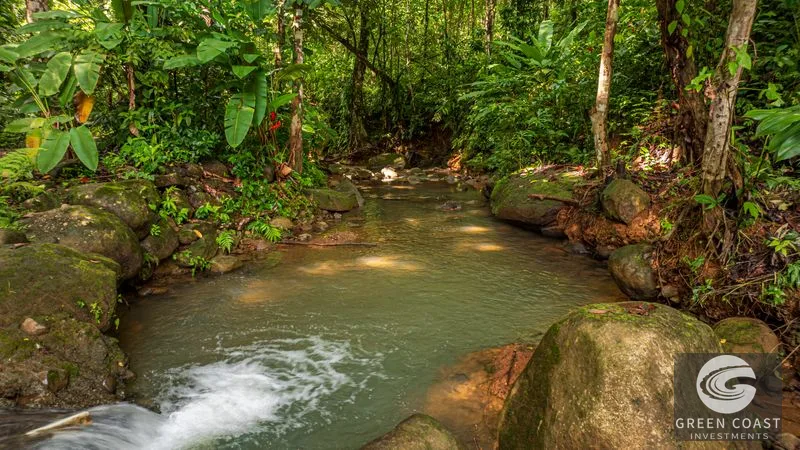 Riverfront Jungle Oasis: Private 3-Bed Retreat with Natural Pool & Fruit Orchard — view 8, Costa Rica, Costa Rica