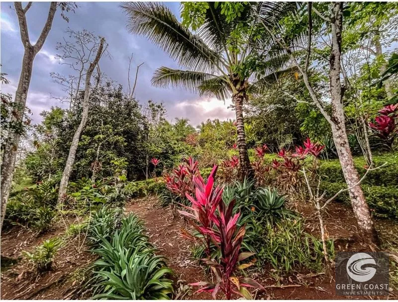 Luxury Lakeside Estate: Private Lake Access, 2 Homes, Pool & Dock in Quintas Lago Wilson — view 13, Boca Arenal, San Carlos, Costa Rica
