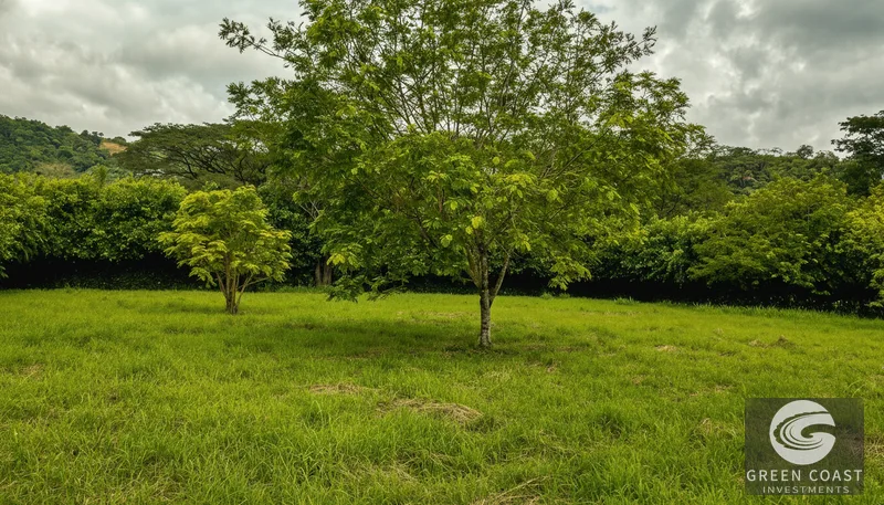 Playa Hermosa Lot: Nature, Surf & Development Potential Near Jacó — view 6, Jacó, Garabito, Costa Rica