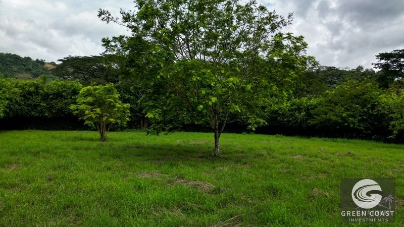 Playa Hermosa Lot: Nature, Surf & Development Potential Near Jacó — view 18, Costa Rica