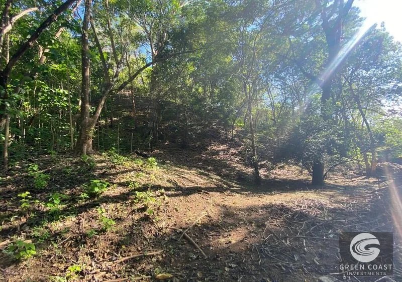 Calle Hermosa Lot – Boulevard el Bosque — view 3, Costa Rica, Costa Rica
