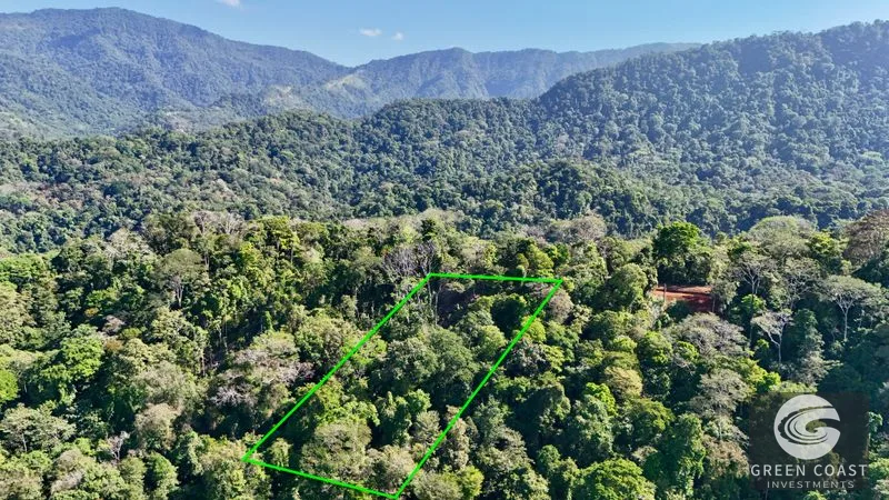 Uvita Ocean View Estate: Primary Forest, Whale's Tail Views & Legal Water in Exclusive Community — view 2, Uvita, Bahia Ballena, Costa Rica