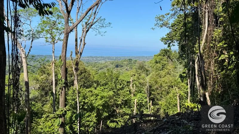 Uvita Ocean View Estate: Primary Forest, Whale's Tail Views & Legal Water in Exclusive Community — view 5, Uvita, Bahia Ballena, Costa Rica