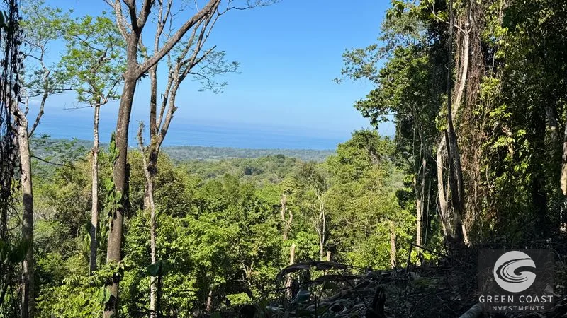 Uvita Ocean View Estate: Primary Forest, Whale's Tail Views & Legal Water in Exclusive Community — view 6, Uvita, Bahia Ballena, Costa Rica