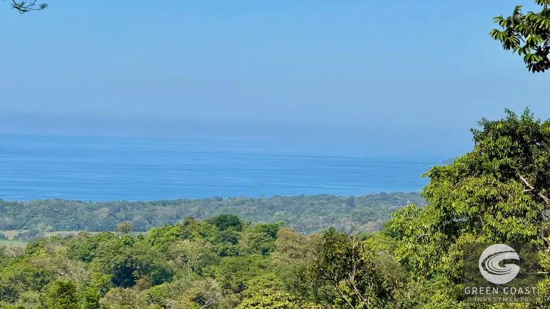 Uvita Ocean View Estate: Primary Forest, Whale's Tail Views & Legal Water in Exclusive Community — view 7, Uvita, Bahia Ballena, Costa Rica