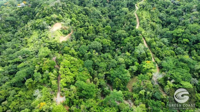 Uvita 17-Acre Ocean & Jungle View Estate: 3+ Prime Building Sites, Wildlife Paradise — view 4, Uvita, Costa Rica