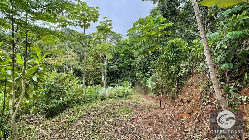 Uvita 17-Acre Ocean & Jungle View Estate: 3+ Prime Building Sites, Wildlife Paradise — view 5, Uvita, Costa Rica