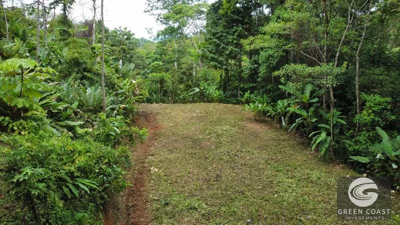 Uvita 17-Acre Ocean & Jungle View Estate: 3+ Prime Building Sites, Wildlife Paradise — view 6, Uvita, Costa Rica
