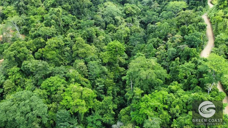 Uvita 17-Acre Ocean & Jungle View Estate: 3+ Prime Building Sites, Wildlife Paradise — view 8, Uvita, Costa Rica