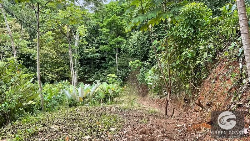 Uvita 17-Acre Ocean & Jungle View Estate: 3+ Prime Building Sites, Wildlife Paradise — view 10, Uvita, Costa Rica