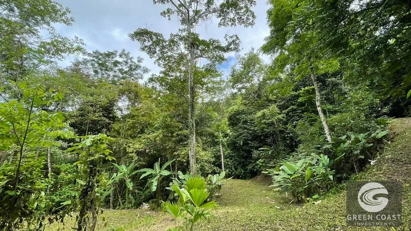 Uvita 17-Acre Ocean & Jungle View Estate: 3+ Prime Building Sites, Wildlife Paradise — view 11, Uvita, Costa Rica