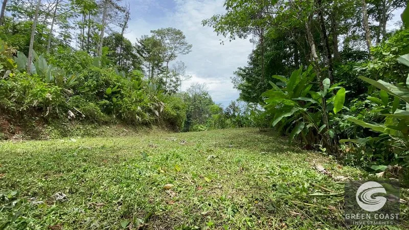 Uvita 17-Acre Ocean & Jungle View Estate: 3+ Prime Building Sites, Wildlife Paradise — view 12, Uvita, Costa Rica