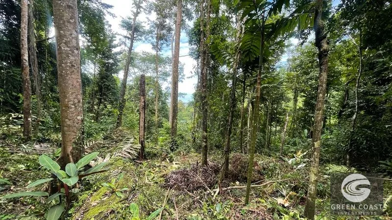 Uvita 17-Acre Ocean & Jungle View Estate: 3+ Prime Building Sites, Wildlife Paradise — view 14, Uvita, Costa Rica