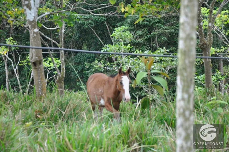 Uvita Mountain Farm: San Luis Waterfall Views & Usable Land for Your Costa Rica Dream — view 3, San Isidro, Costa Rica