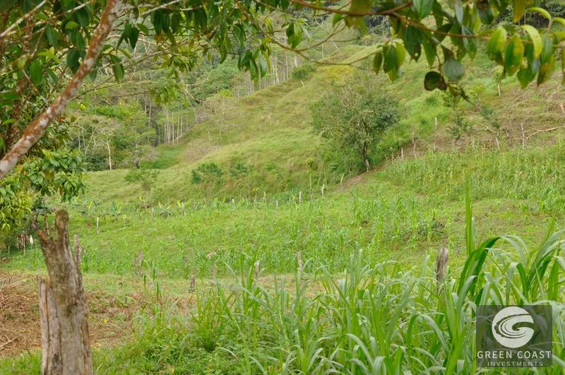 Uvita Mountain Farm: San Luis Waterfall Views & Usable Land for Your Costa Rica Dream — view 4, San Isidro, Costa Rica