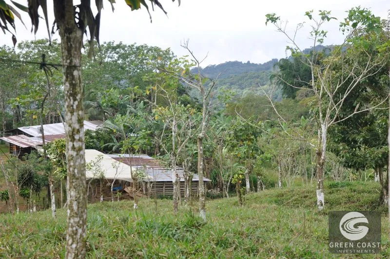 Uvita Mountain Farm: San Luis Waterfall Views & Usable Land for Your Costa Rica Dream — view 5, San Isidro, Costa Rica
