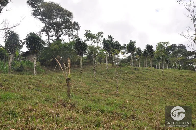 Uvita Mountain Farm: San Luis Waterfall Views & Usable Land for Your Costa Rica Dream — view 6, San Isidro, Costa Rica