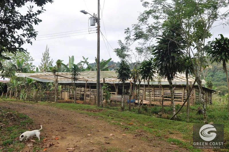 Uvita Mountain Farm: San Luis Waterfall Views & Usable Land for Your Costa Rica Dream — view 10, San Isidro, Costa Rica