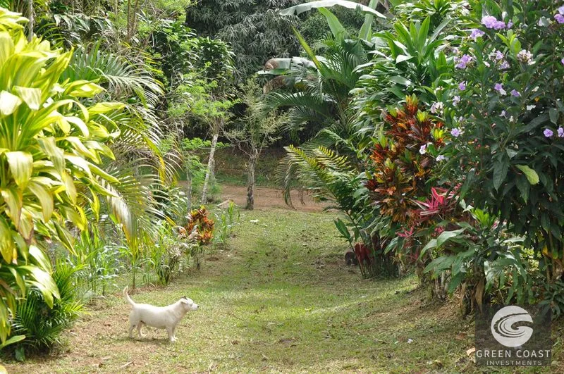 Uvita Mountain Farm: San Luis Waterfall Views & Usable Land for Your Costa Rica Dream — view 12, San Isidro, Costa Rica