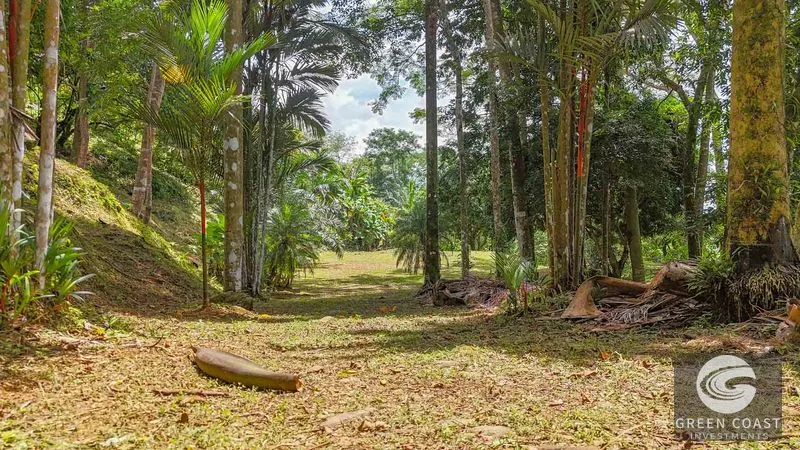 Uvita Ocean View Lot: Whale's Tail Vistas, Sunsets & Legal Water – Ready to Build! — view 14, Uvita, Uvita, Costa Rica