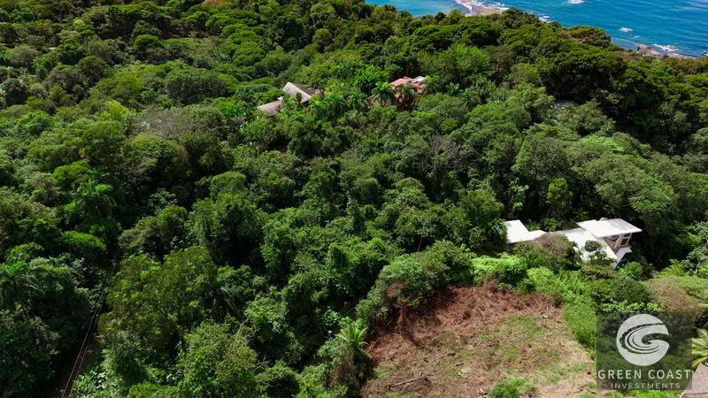 Premier Ocean View Homesite in Escaleras: Whale Tail Views & Sunset Panoramas — view 11, Costa Rica, Costa Rica
