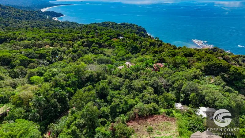 Premier Ocean View Homesite in Escaleras: Whale Tail Views & Sunset Panoramas — view 12, Costa Rica, Costa Rica