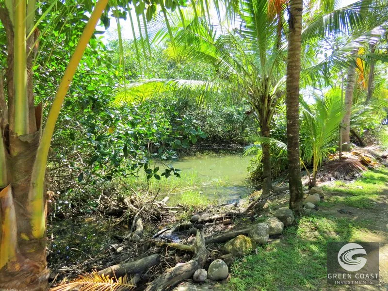 Uvita Apartment/Hotel: 4 Units, Steps from Marino Ballena National Park & Beaches — view 3, Bahía Ballena, Osa, Costa Rica