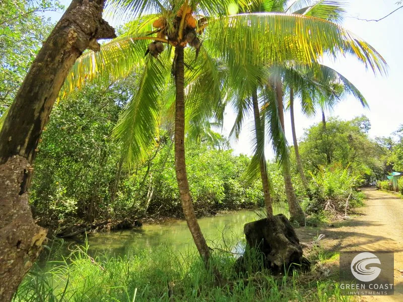 Uvita Apartment/Hotel: 4 Units, Steps from Marino Ballena National Park & Beaches — view 5, Bahía Ballena, Osa, Costa Rica