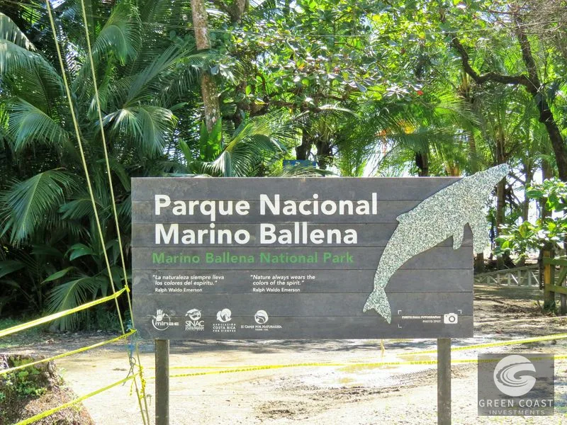 Uvita Apartment/Hotel: 4 Units, Steps from Marino Ballena National Park & Beaches — view 11, Bahía Ballena, Osa, Costa Rica