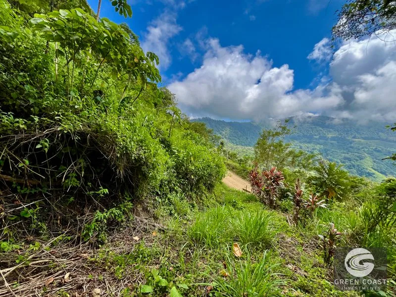 San Luis Ridgetop: Ocean & Mountain View Estate with 3 Building Sites & Subdivision Potential — view 3, Uvita, Costa Rica