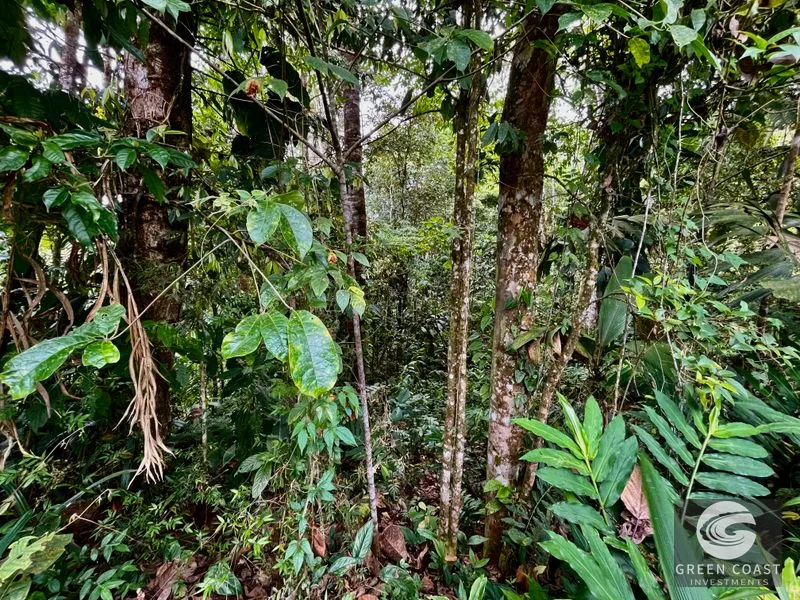 San Luis Ridgetop: Ocean & Mountain View Estate with 3 Building Sites & Subdivision Potential — view 6, Uvita, Costa Rica