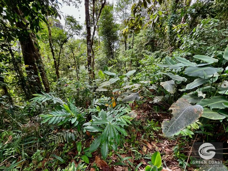 San Luis Ridgetop: Ocean & Mountain View Estate with 3 Building Sites & Subdivision Potential — view 7, Uvita, Costa Rica