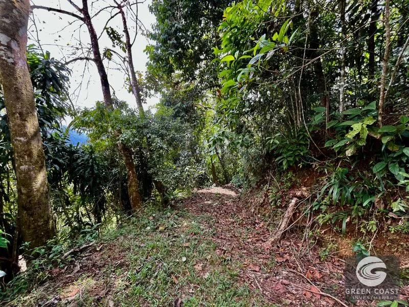 San Luis Ridgetop: Ocean & Mountain View Estate with 3 Building Sites & Subdivision Potential — view 10, Uvita, Costa Rica