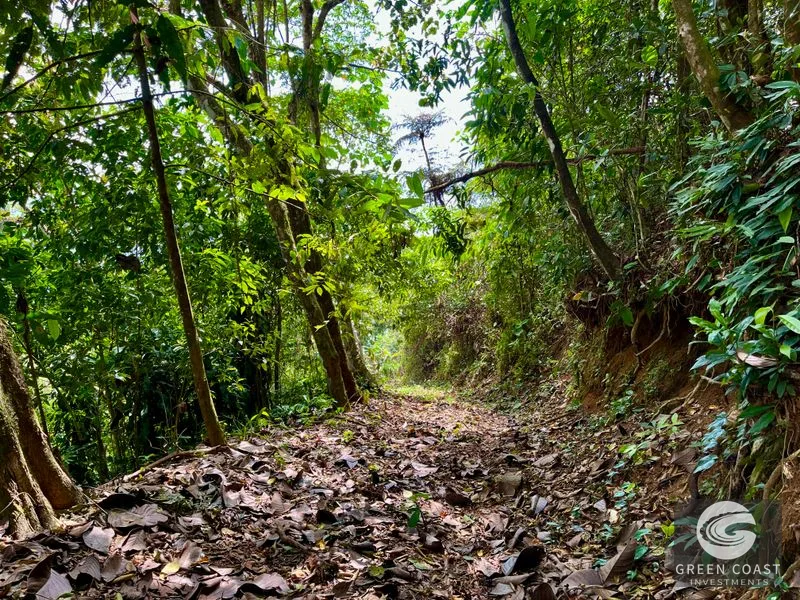 San Luis Ridgetop: Ocean & Mountain View Estate with 3 Building Sites & Subdivision Potential — view 11, Uvita, Costa Rica