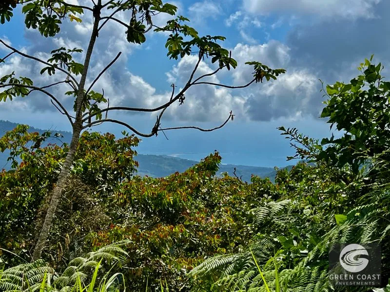 San Luis Ridgetop: Ocean & Mountain View Estate with 3 Building Sites & Subdivision Potential — view 12, Uvita, Costa Rica