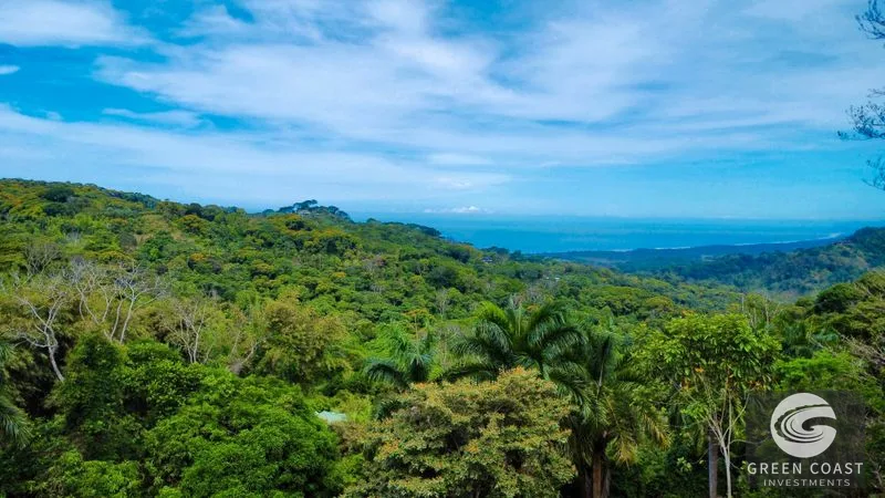Dominical Ocean View Estate: 3.6 Acres, Architectural Plans, Gated Luxury — view 3, Bahía Ballena, Osa, Costa Rica