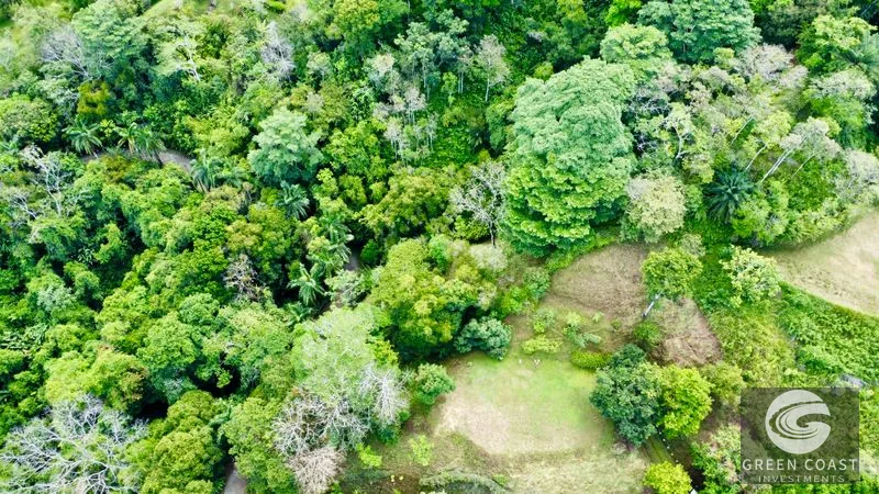 Dominical Ocean View Estate: 3.6 Acres, Architectural Plans, Gated Luxury — view 4, Bahía Ballena, Osa, Costa Rica