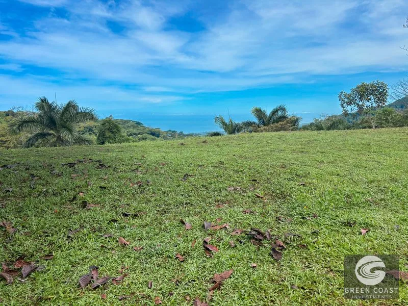 Dominical Ocean View Estate: 3.6 Acres, Architectural Plans, Gated Luxury — view 5, Bahía Ballena, Osa, Costa Rica