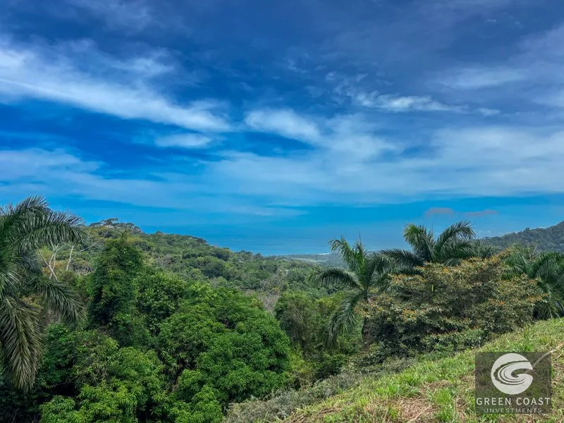 Dominical Ocean View Estate: 3.6 Acres, Architectural Plans, Gated Luxury — view 9, Bahía Ballena, Osa, Costa Rica