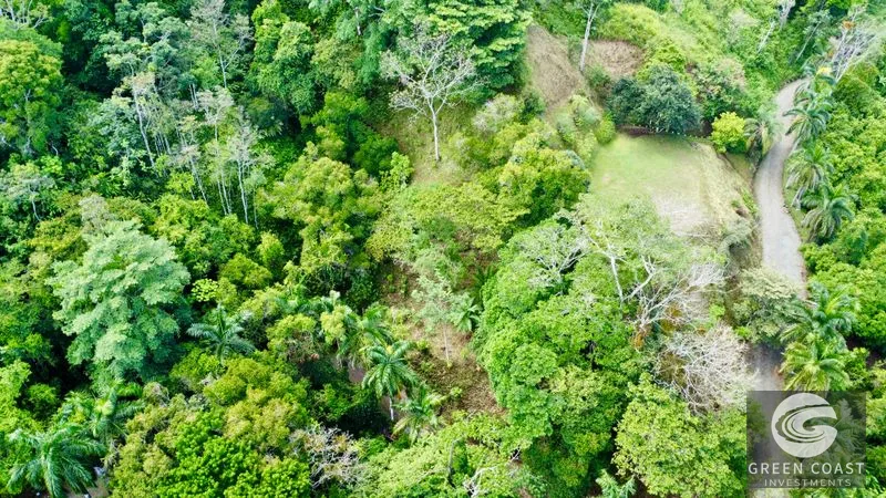 Dominical Ocean View Estate: 3.6 Acres, Architectural Plans, Gated Luxury — view 11, Bahía Ballena, Osa, Costa Rica