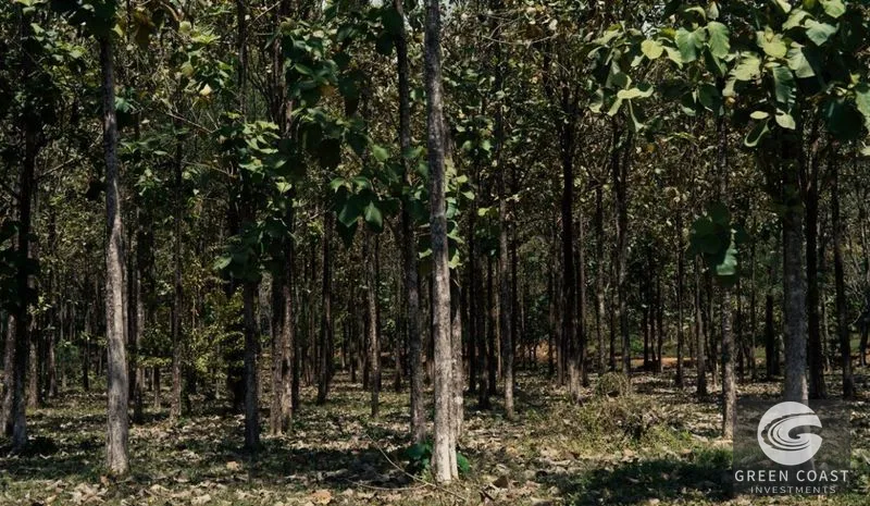 Hermosa Falls Estates: Ocean View Lots Near Surf & Nature - Pre-Sale Opportunity! — view 2, Jacó, Garabito, Costa Rica