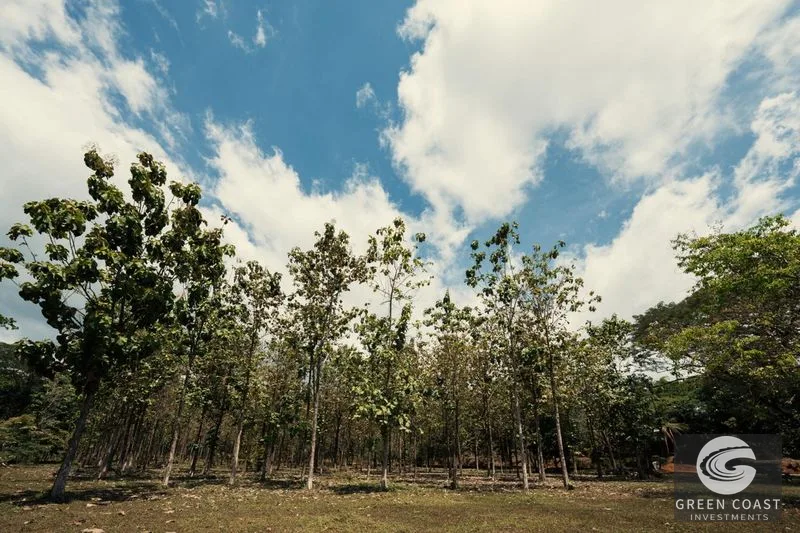 Hermosa Falls Estates: Ocean View Lots Near Surf & Nature - Pre-Sale Opportunity! — view 17, Costa Rica