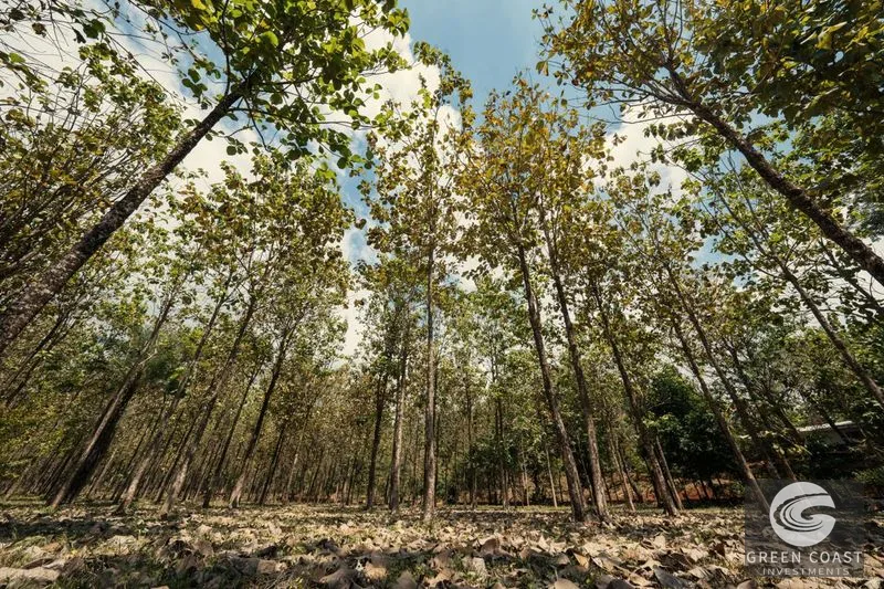 Hermosa Falls Estates: Ocean View Lots Near Surf & Nature - Pre-Sale Opportunity! — view 21, Costa Rica