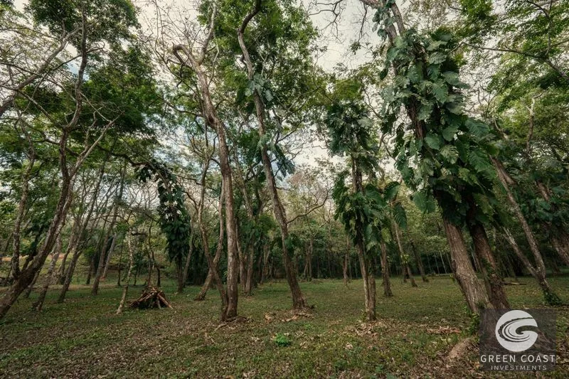Hermosa Falls Estates: Ocean View Lots Near Surf & Nature - Pre-Sale Opportunity! — view 23, Costa Rica